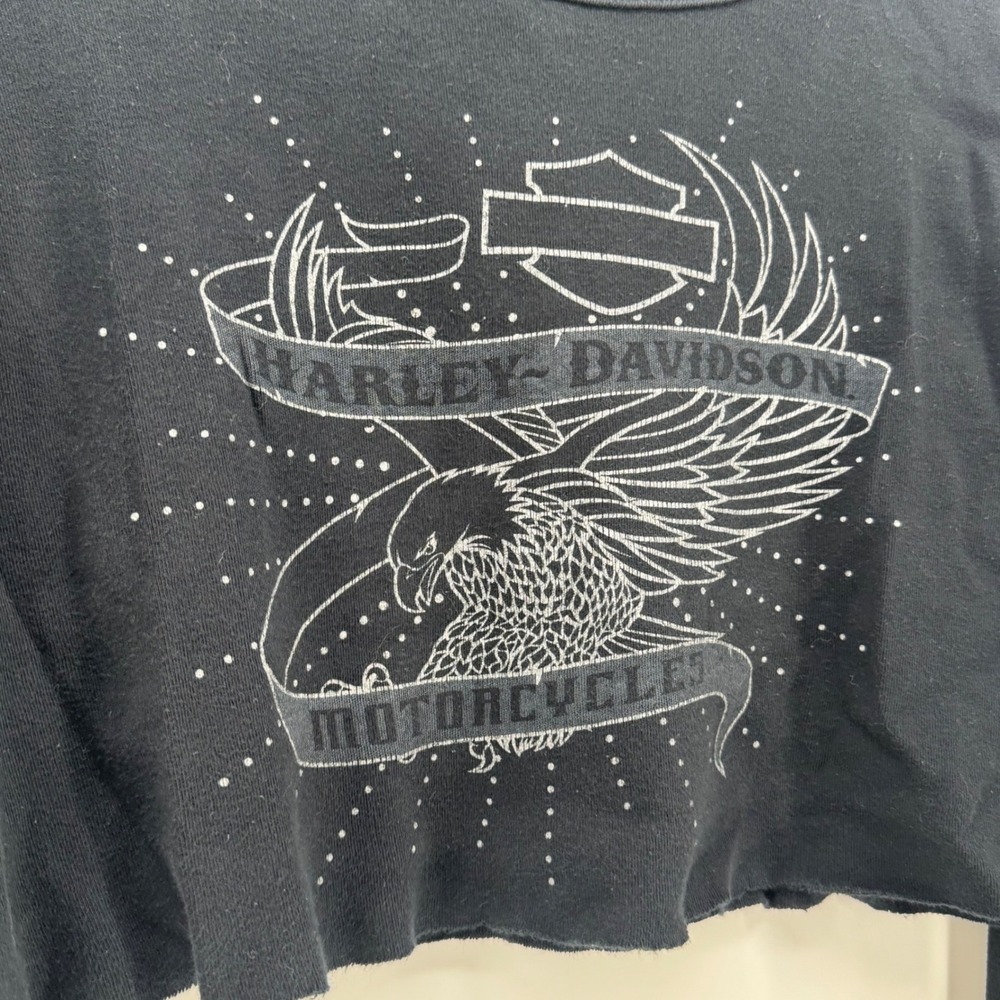 Harley Davidson St Paul MN Eagle Graphic Cropped‎ Long Sleeve Black Shirt 1X